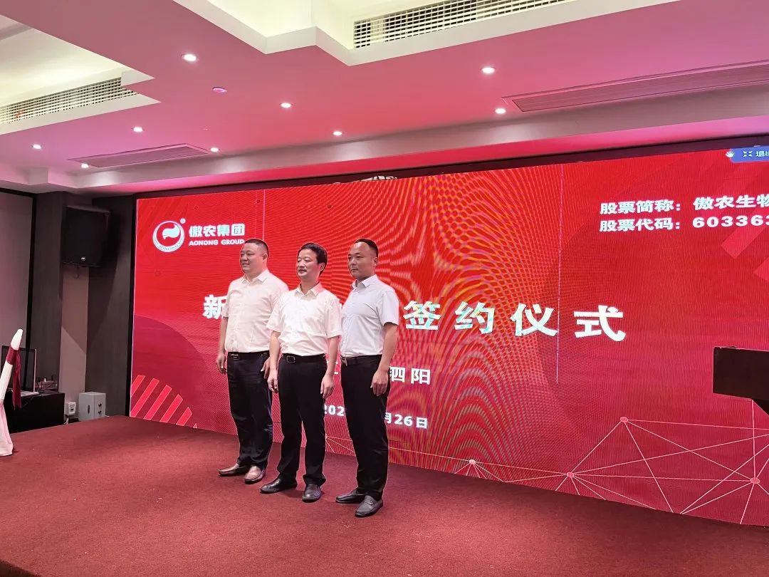 熟妇丰满多毛的大隂户