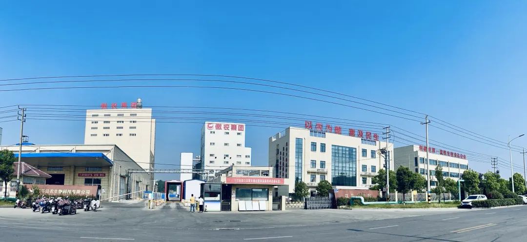 熟妇丰满多毛的大隂户