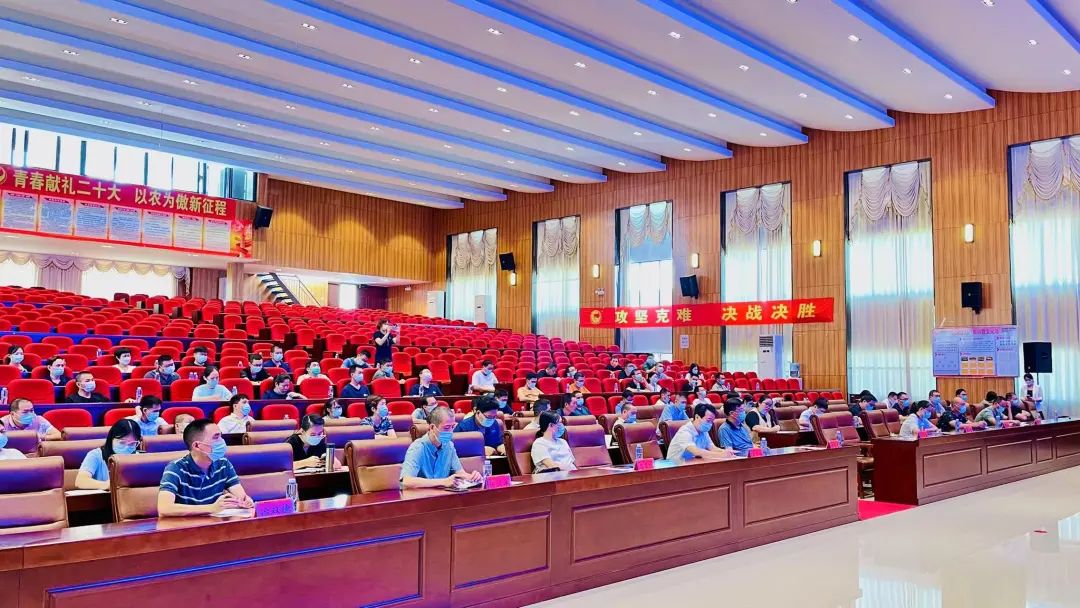 熟妇丰满多毛的大隂户