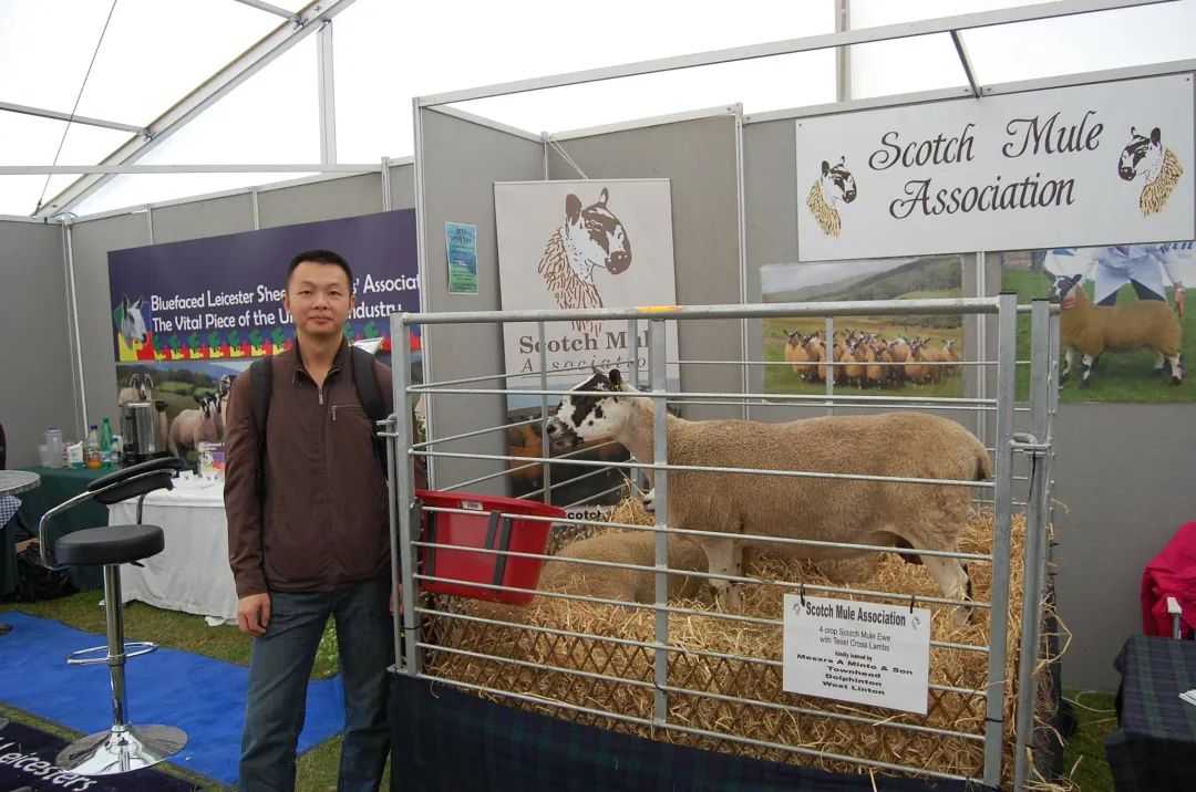 熟妇丰满多毛的大隂户