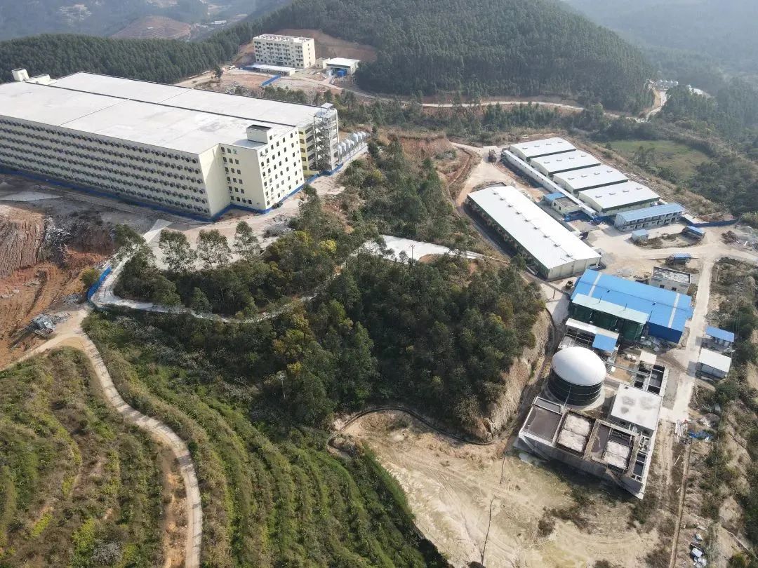 熟妇丰满多毛的大隂户