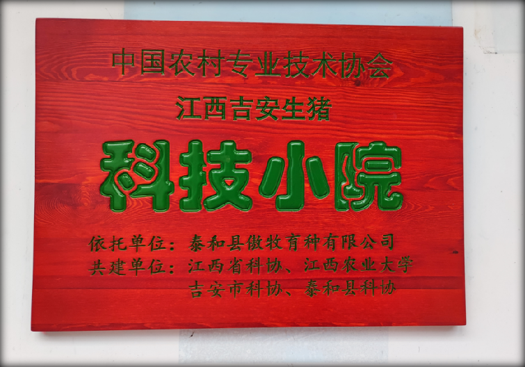 熟妇丰满多毛的大隂户