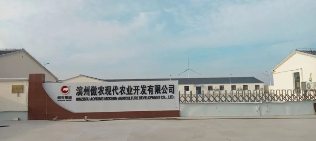 熟妇丰满多毛的大隂户