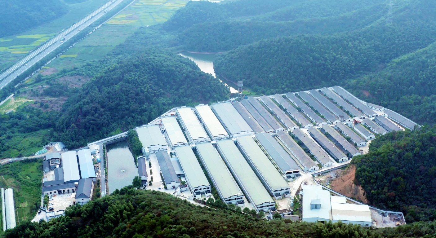 熟妇丰满多毛的大隂户