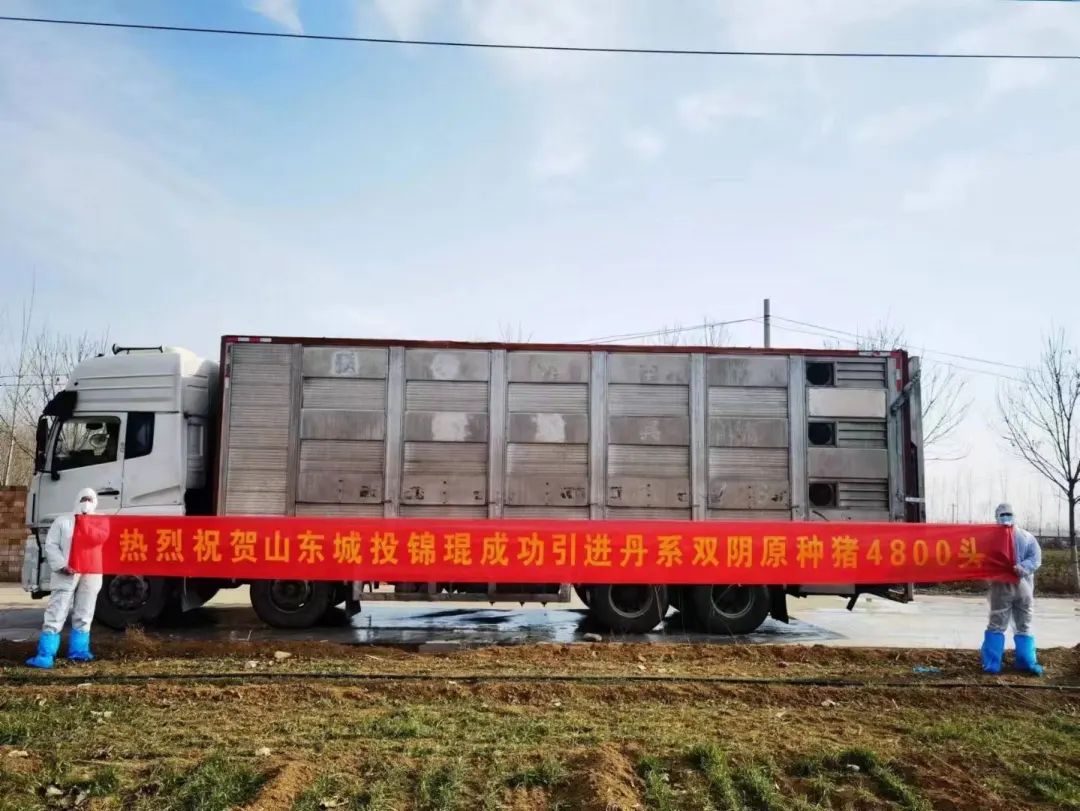 熟妇丰满多毛的大隂户