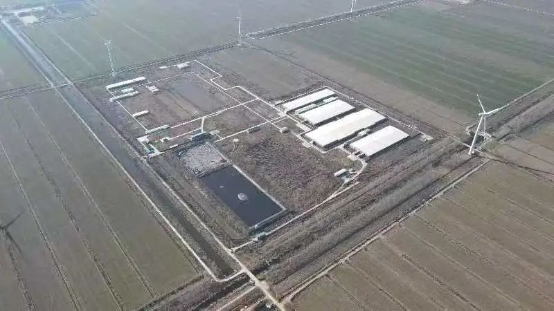 熟妇丰满多毛的大隂户