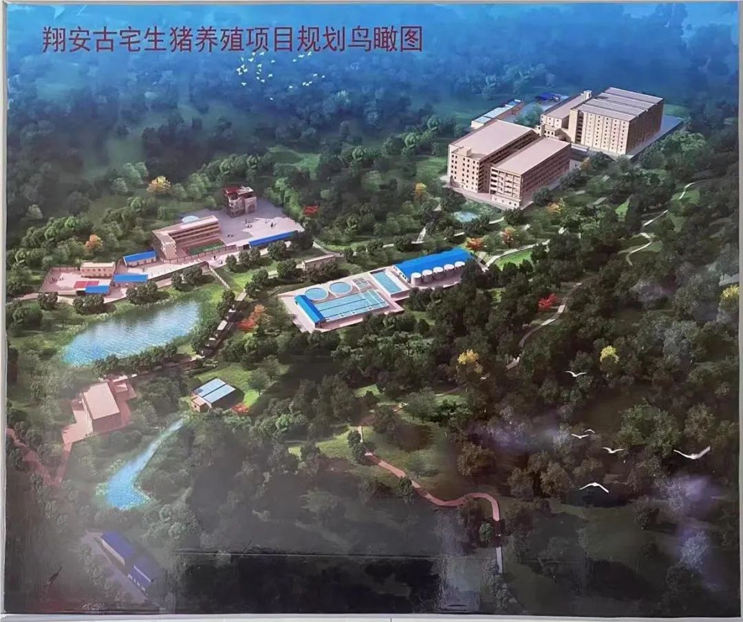 熟妇丰满多毛的大隂户