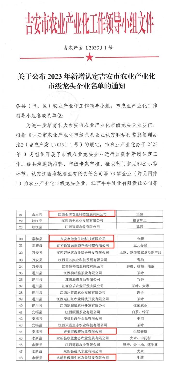 熟妇丰满多毛的大隂户