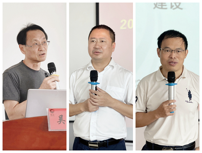 熟妇丰满多毛的大隂户