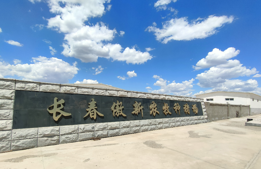 熟妇丰满多毛的大隂户