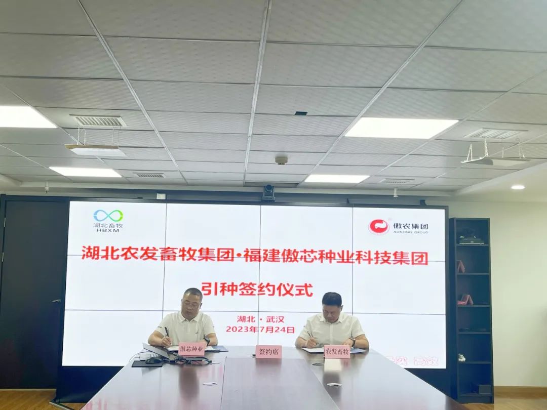 熟妇丰满多毛的大隂户