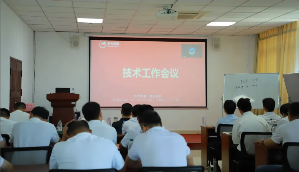 熟妇丰满多毛的大隂户