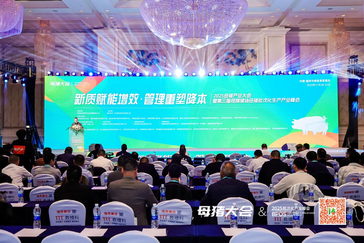 熟妇丰满多毛的大隂户