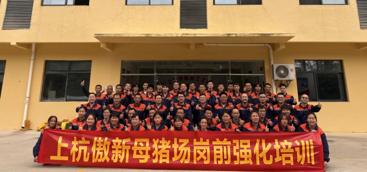 熟妇丰满多毛的大隂户