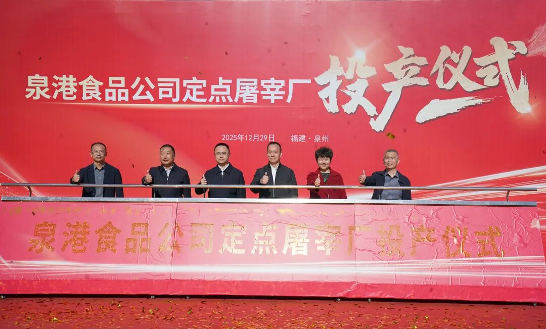 熟妇丰满多毛的大隂户